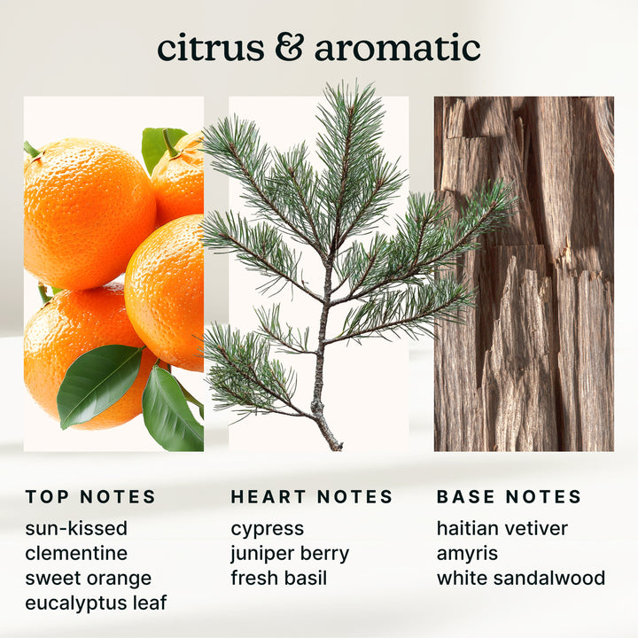 SereneScent™ Autumn Breeze 120ml