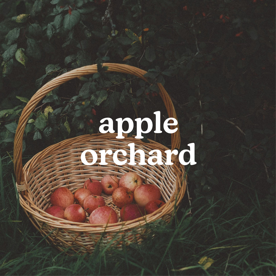 SereneScent™ Apple Orchard 120ml