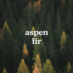 SereneScent™ Aspen Fir 120ml