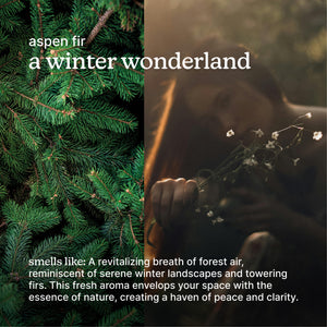Advertisement for aspen fir with text about its scent and atmosphere.