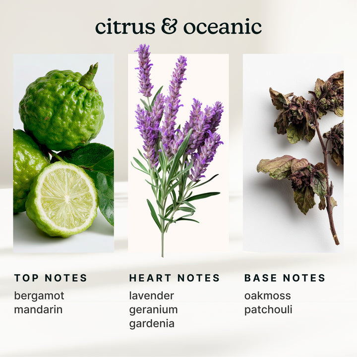 SereneScent™ Bergamot & Lavender 120ml