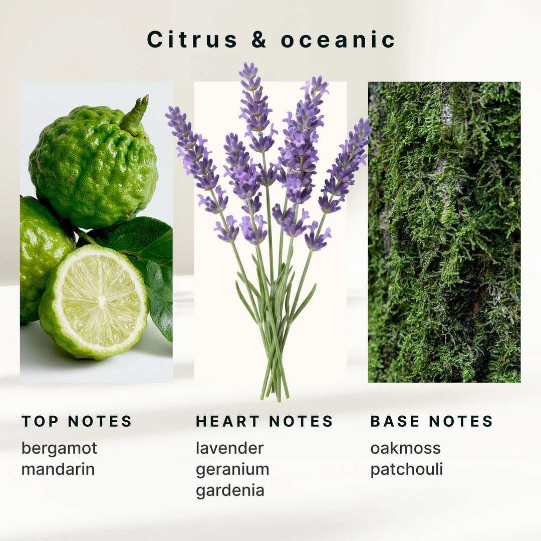 SereneScent™ Bergamot & Lavender