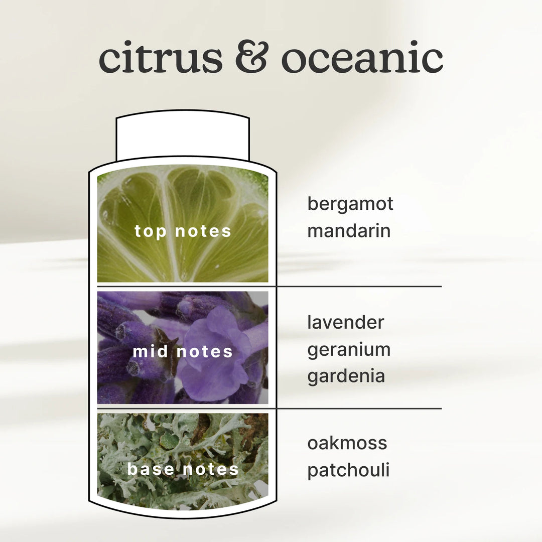 SereneScent 120ml Oil Bergamot & Lavender has top, mid, and base notes