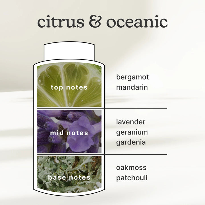SereneScent 120ml Oil Bergamot & Lavender has top, mid, and base notes