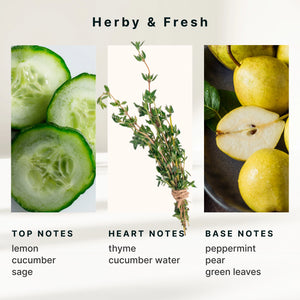 SereneScent™ Cucumber & Sage
