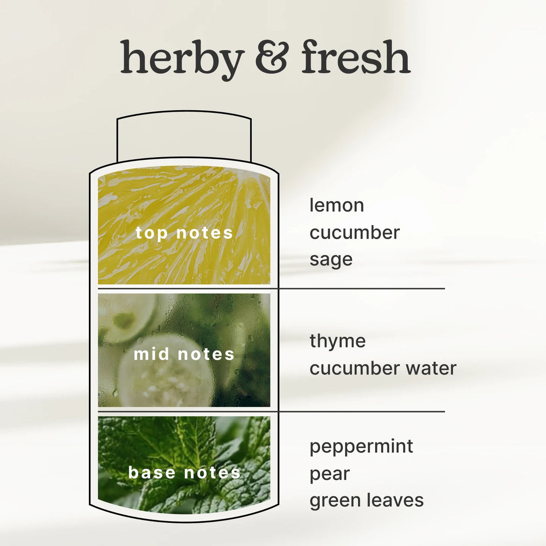 herby & fresh, top notes- lemon cucumber sage, 
mid notes -thyme cucumber water, 
base notes -peppermint pear green leaves
