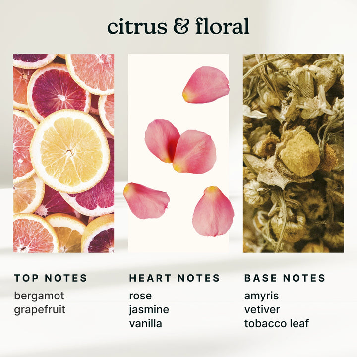 Illustration of citrus fruits, pink flowers, and dried herbs with notes on top, heart, and base notes.
