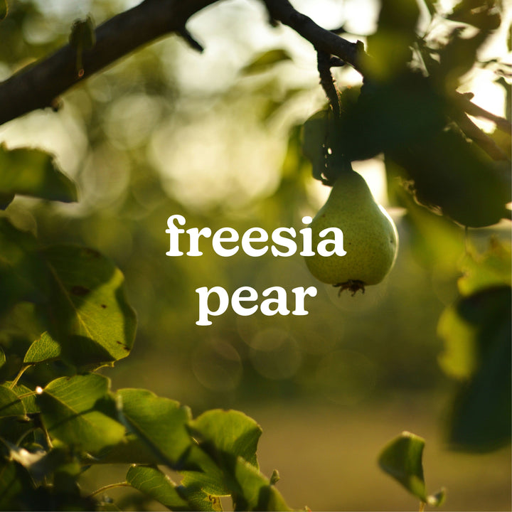 SereneScent™ Freesia Pear 120ml
