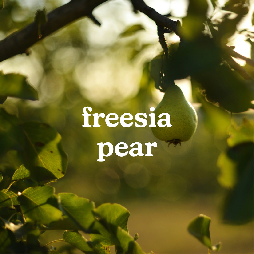 SereneScent™ Freesia Pear 120ml