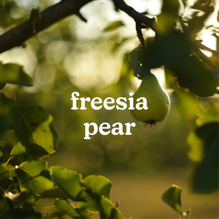 SereneScent™ Freesia Pear 120ml