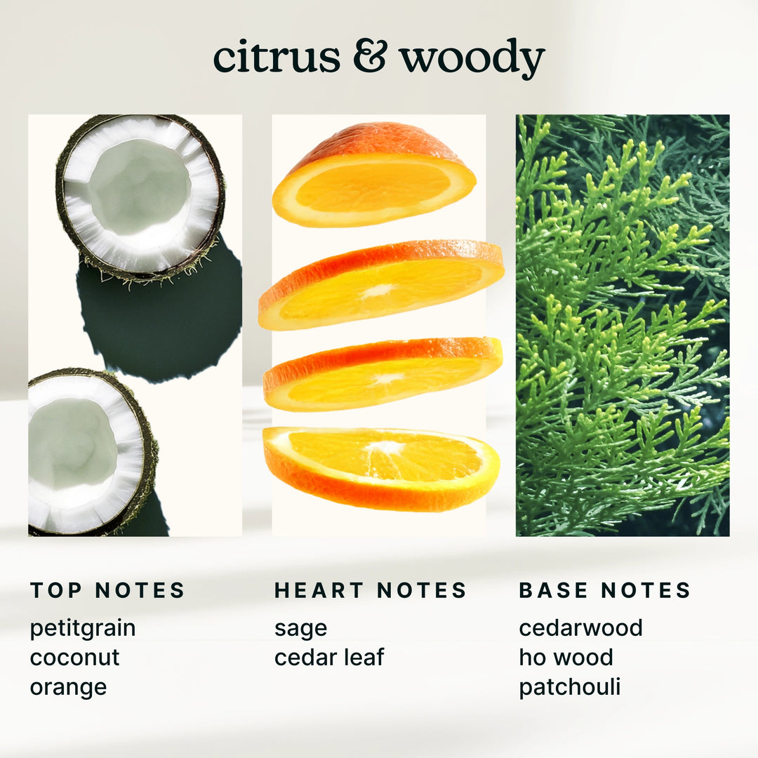 Illustration of citrus and woody elements with corresponding notes on a white background.