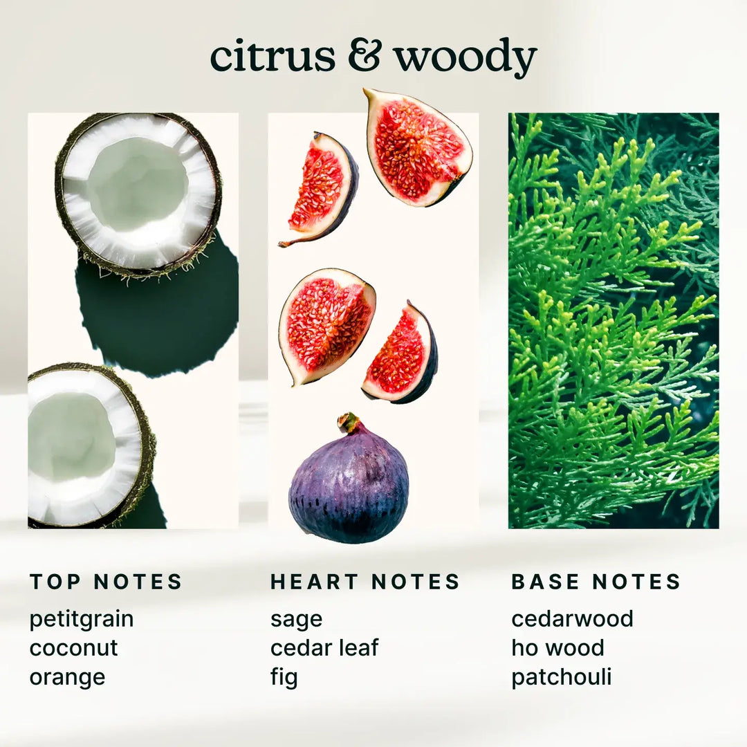 SereneScent™ Fig & Sage 120ml