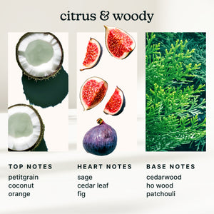 SereneScent™ Fig & Sage 120ml