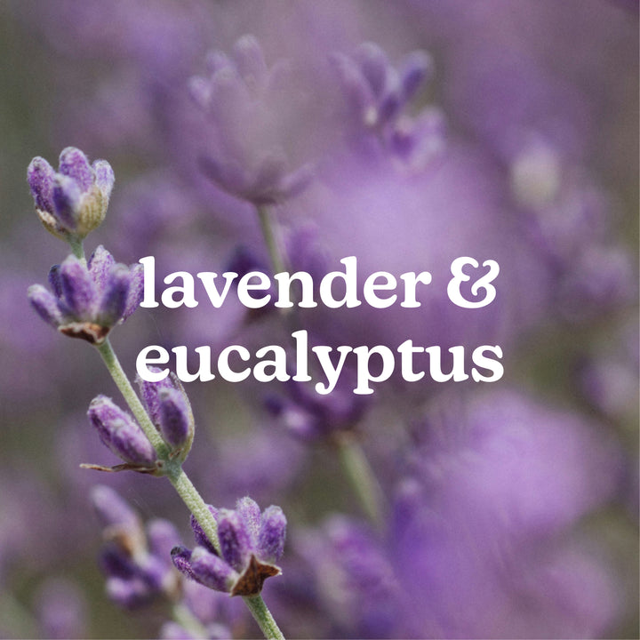 SereneScent™ Lavender & Eucalyptus 120ml