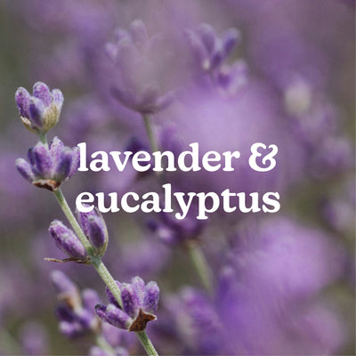 SereneScent™ Lavender & Eucalyptus 120ml