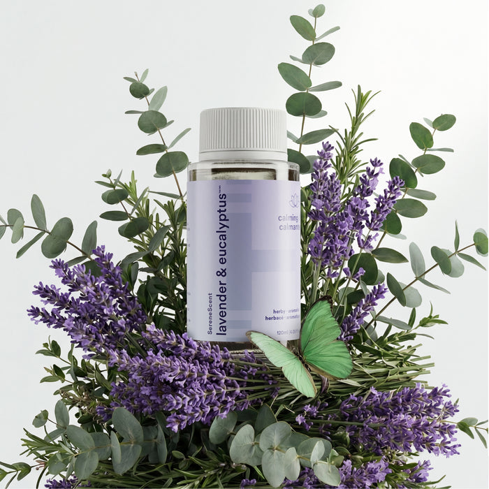 lavender plant oil SereneScent Lavender & Eucalyptus