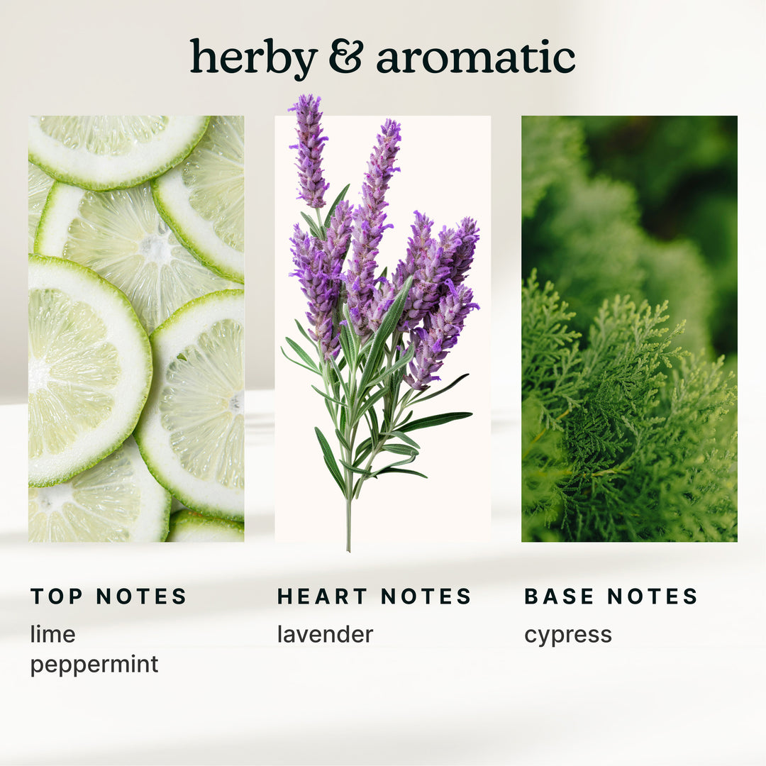 SereneScent™ Lavender & Eucalyptus 120ml