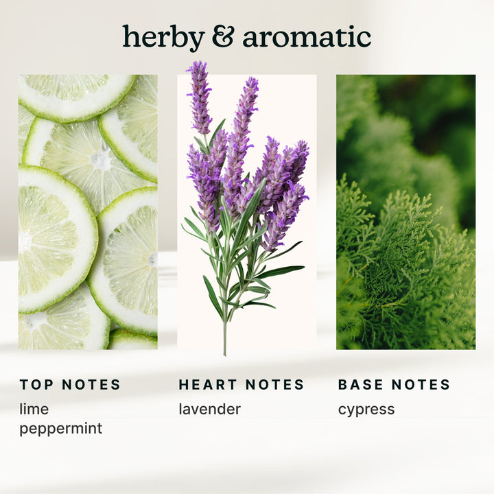 SereneScent™ Lavender & Eucalyptus 120ml