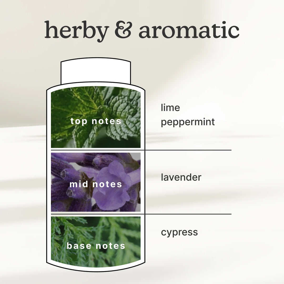SereneScent 120ml Oil Lavender & Eucalyptus has top, mid, and base notes