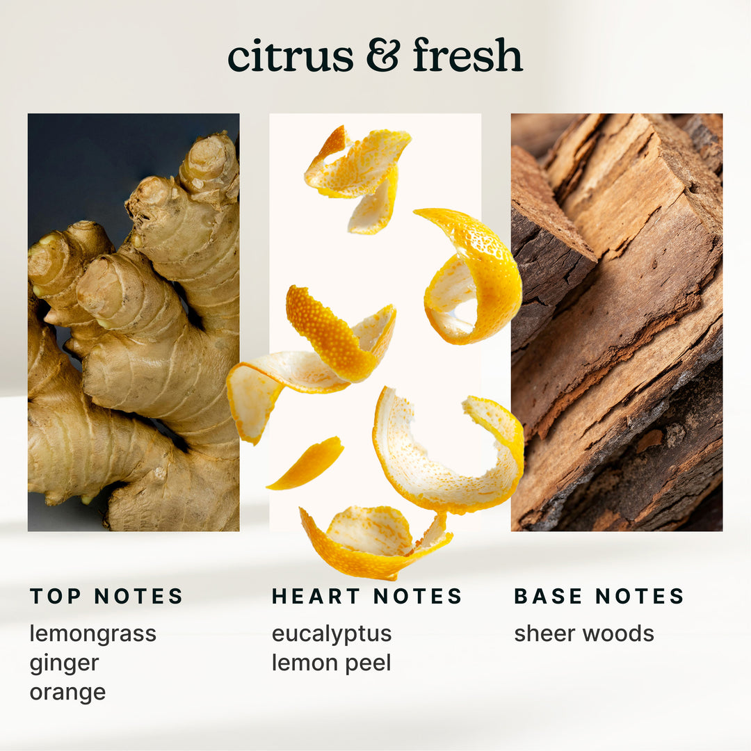 SereneScent™ Lemon & Ginger 120ml