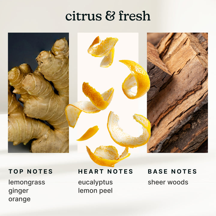 SereneScent™ Lemon & Ginger 120ml