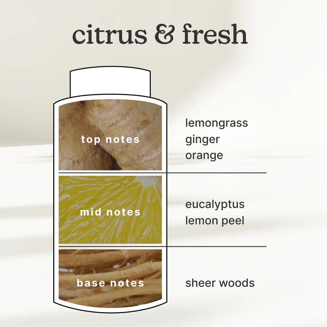 citrus & fresh, top notes-lemongrass ginger orange, mid notes-eucalyptus lemon peel, base notes-sheer woods