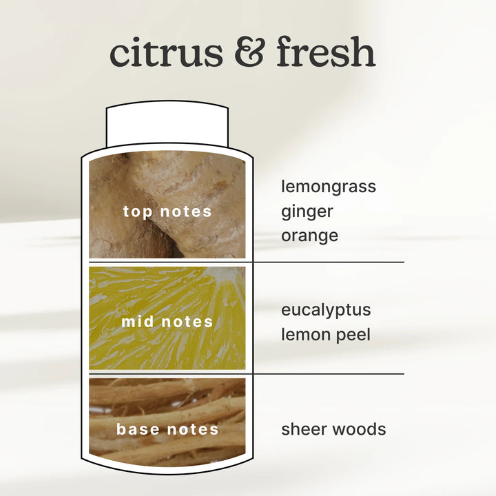 citrus & fresh, top notes-lemongrass ginger orange, mid notes-eucalyptus lemon peel, base notes-sheer woods