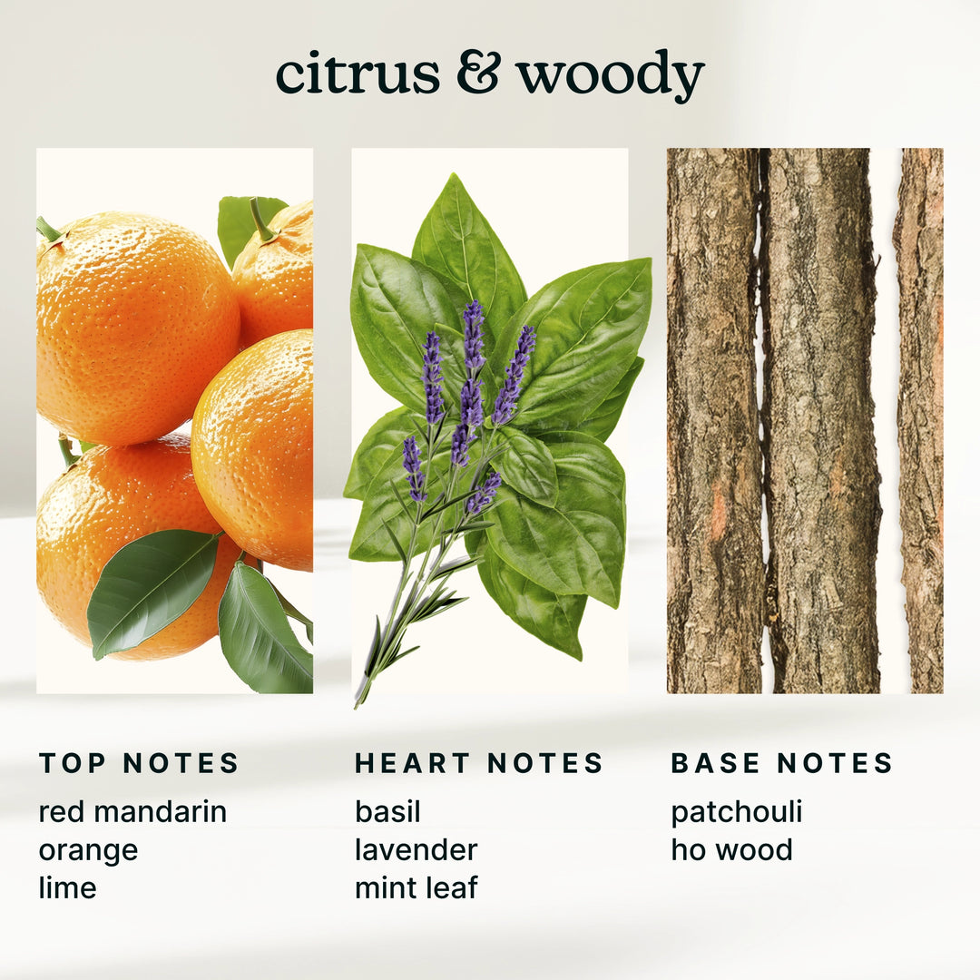 Illustration of citrus fruits, lavender, and tree bark with notes on top, heart, and base notes.