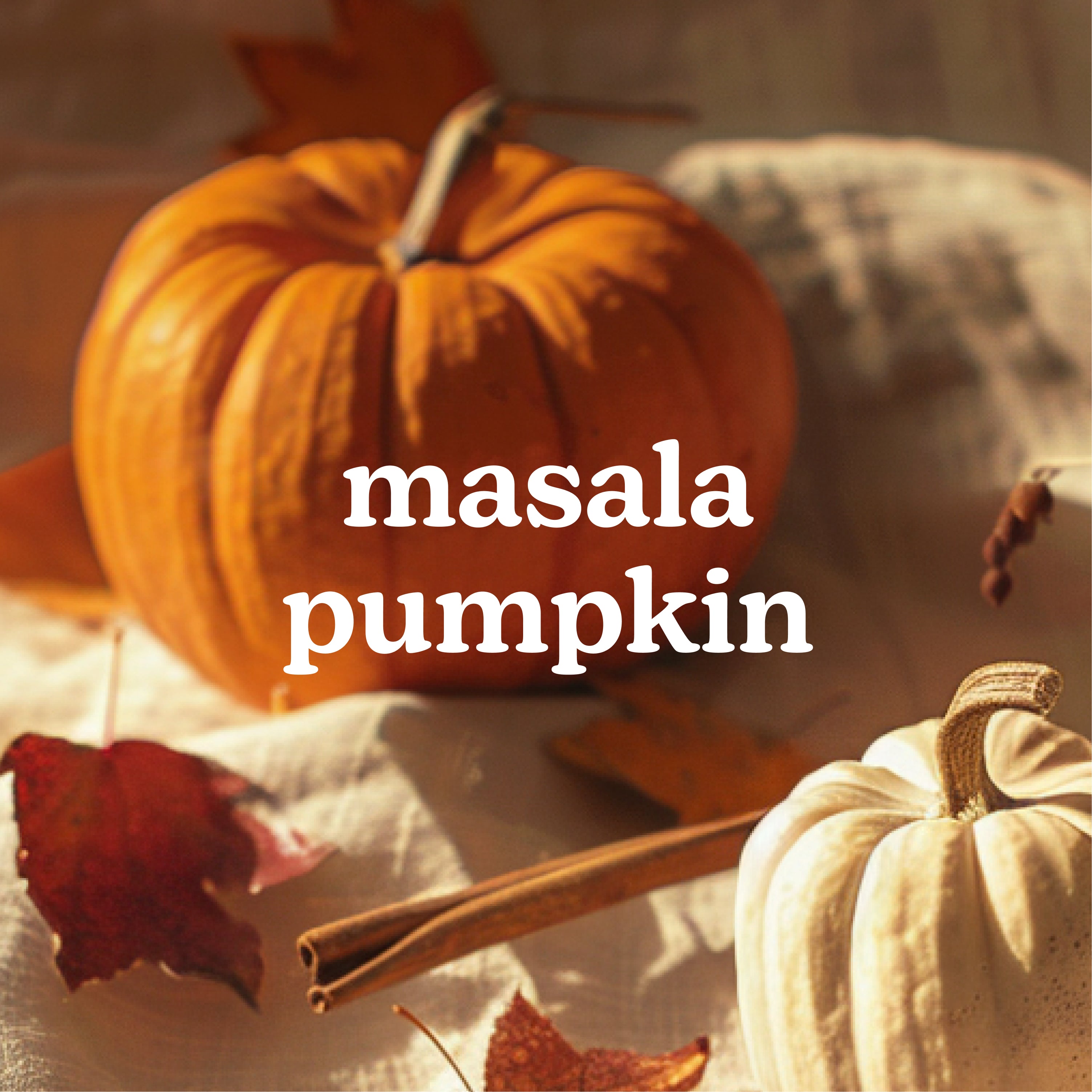 SereneScent™ Masala Pumpkin – Homedics