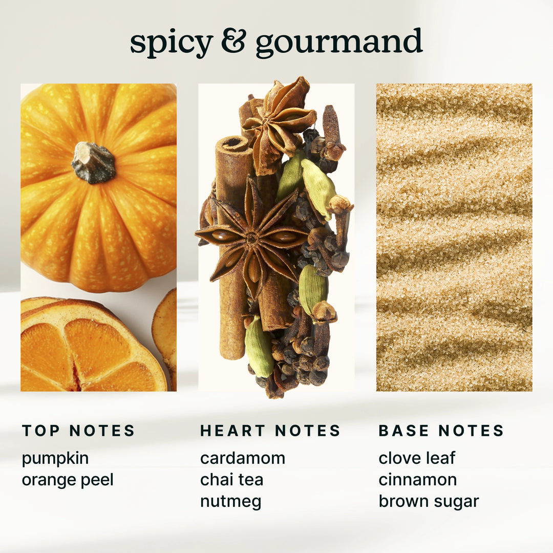 spicy and gourmand with imagery and descriptions of scents that include pumpkin, cardamom, and cinnamon. 