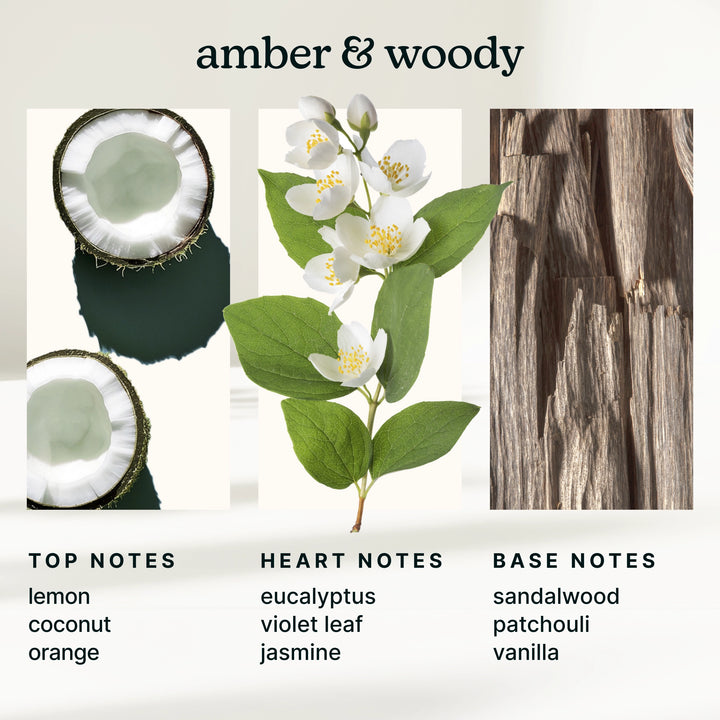 amber and woody imagery and scent description including coconut, jasmine, and sandalwood.