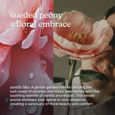sueded peony a floral embrace with gentle garden breeze. 