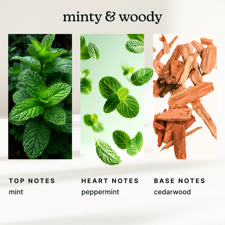 SereneScent™ Sleigh Ride 120ml