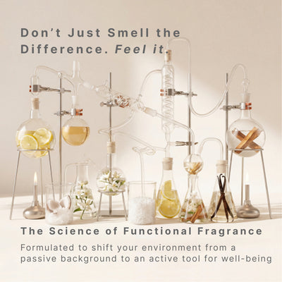 The Sanctuary System