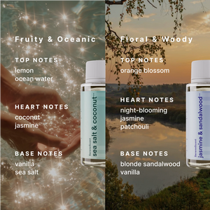 The Sanctuary System