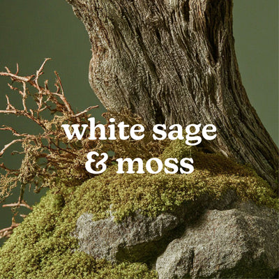 SereneScent™ White Sage & Moss 120ml