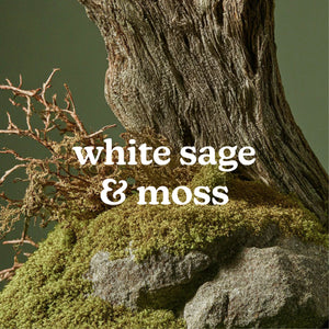 SereneScent™ White Sage & Moss 120ml