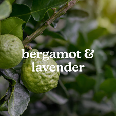 SereneScent™ Bergamot & Lavender 15ml