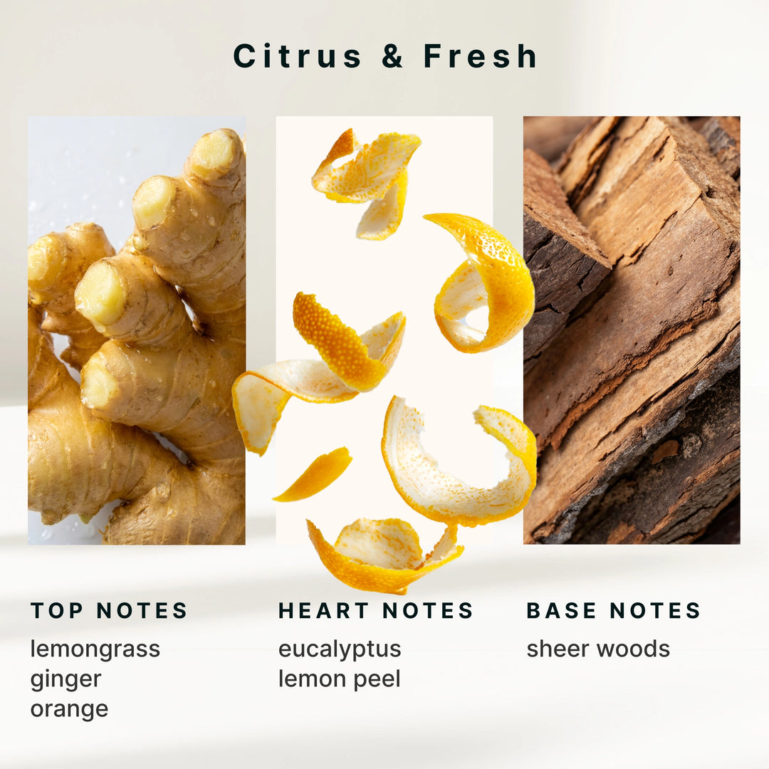 SereneScent™ Lemon & Ginger