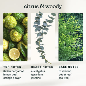 SereneScent™ 15ml oil Maldives Escape