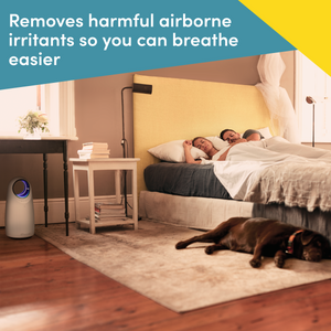 Make Lemonade Halo Air Purifier removes harmful airborne irritants so you can breathe easier