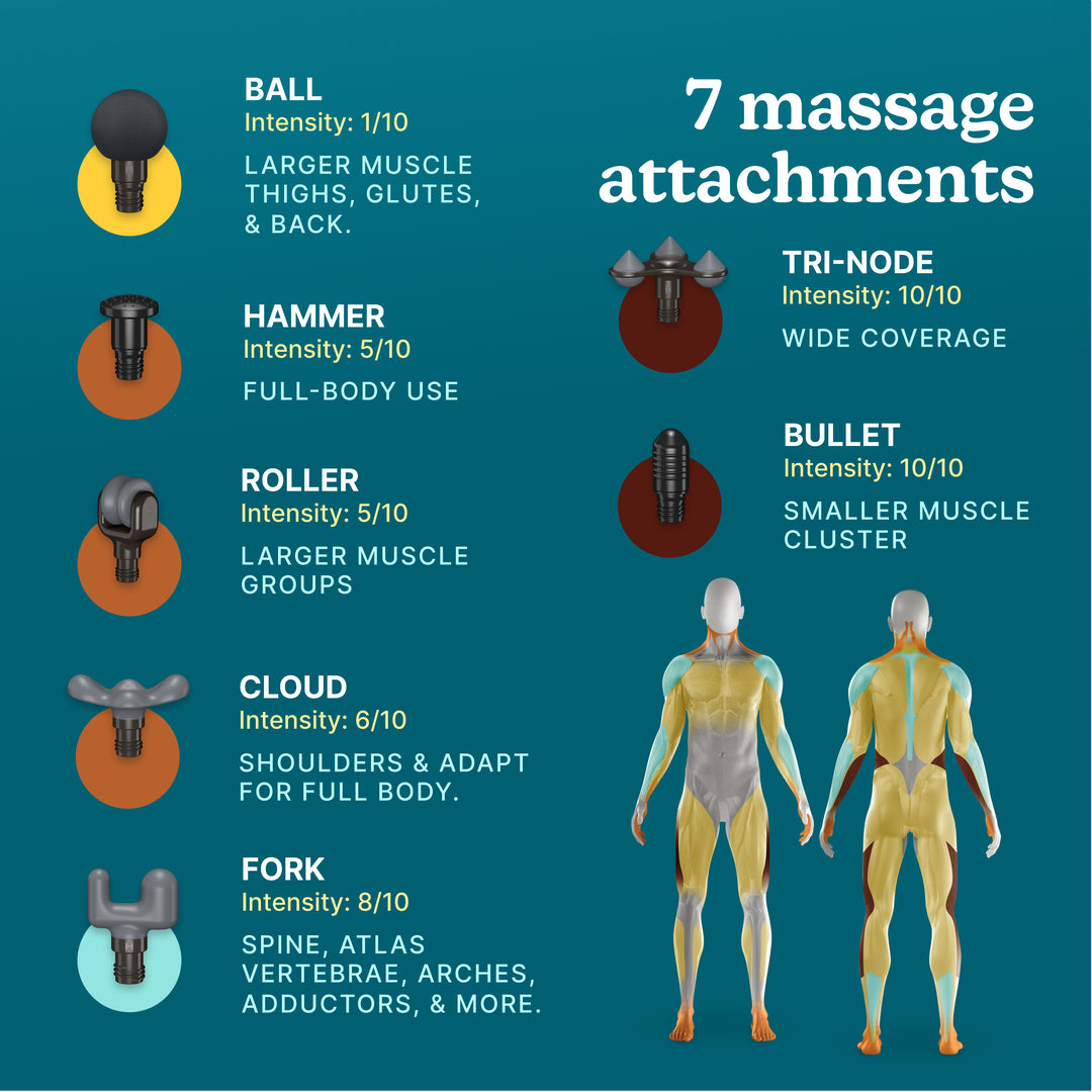percussion massage gun muscle group targeting chart