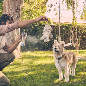 Man sprays dog toy with Homedics Ozone Clean Multipurpose Cleaner