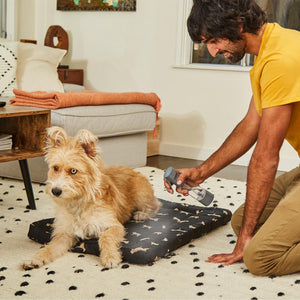 Man sprays dog bed with grey Homedics Ozone Clean Multipurpose Cleaner