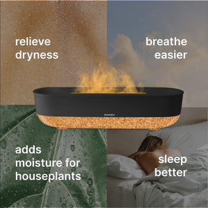 relieve dryness, adds moisture for houseplants, breathe easier, sleep better