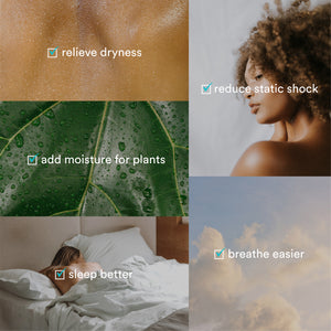 With Homedics® Ultrasonic Humidifier CMTF32, relieve dryness, reduce static shock, add moisture for plants, breathe easier and sleep better