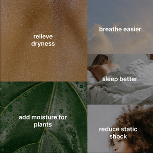 Benefits of humidifiers: relieve dryness, breathe easier, sleep better, add moisture for plants, reduce static shock