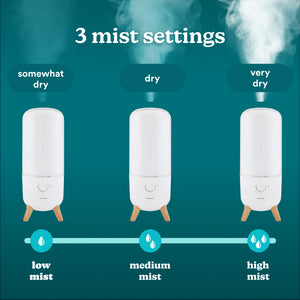 Image showing 3 mist settings