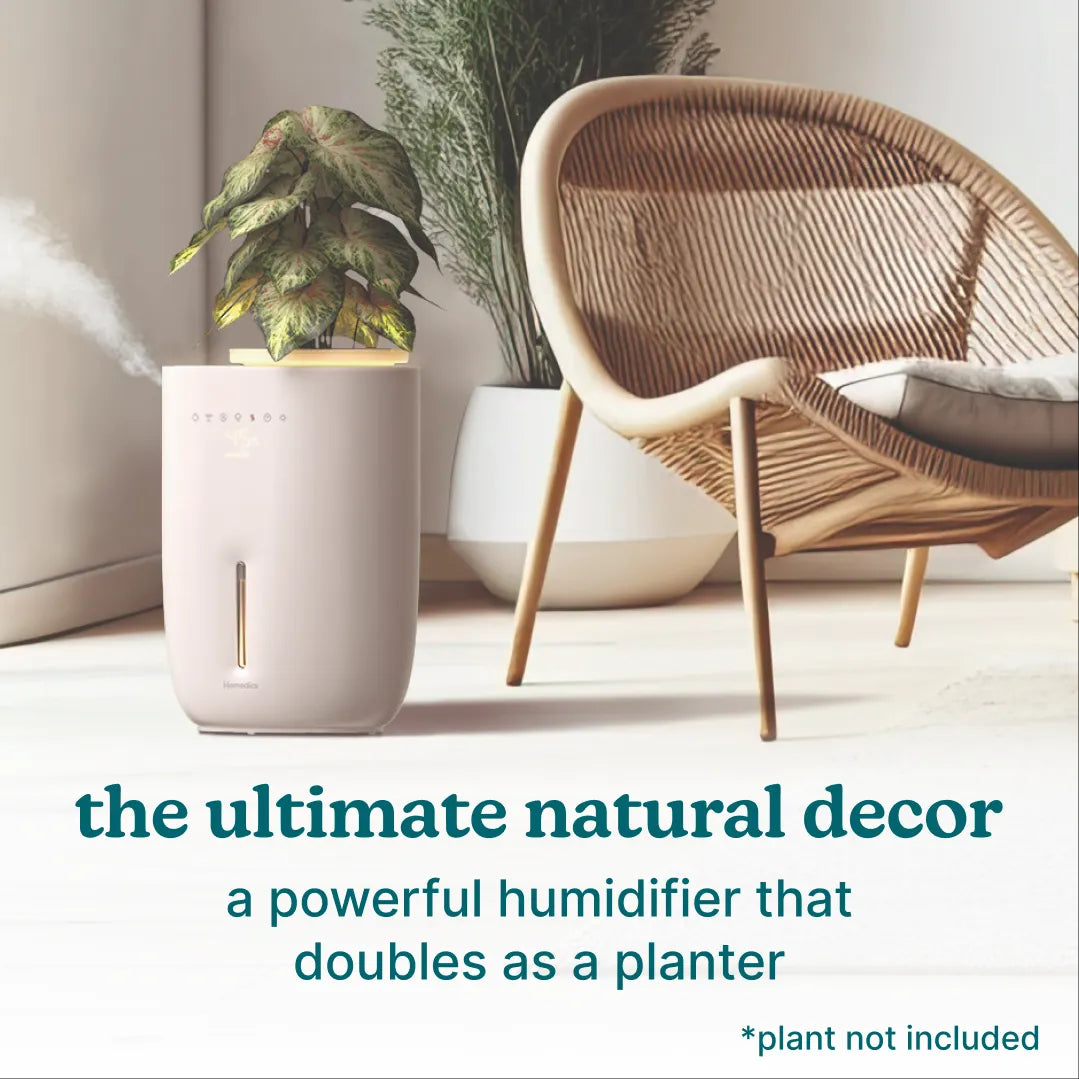 Lifestyle Image with Text: A visually appealing image of the Homedics Small Plant Humidifier placed in a stylish room setting, with text overlay stating, "The Ultimate Nature Decor.