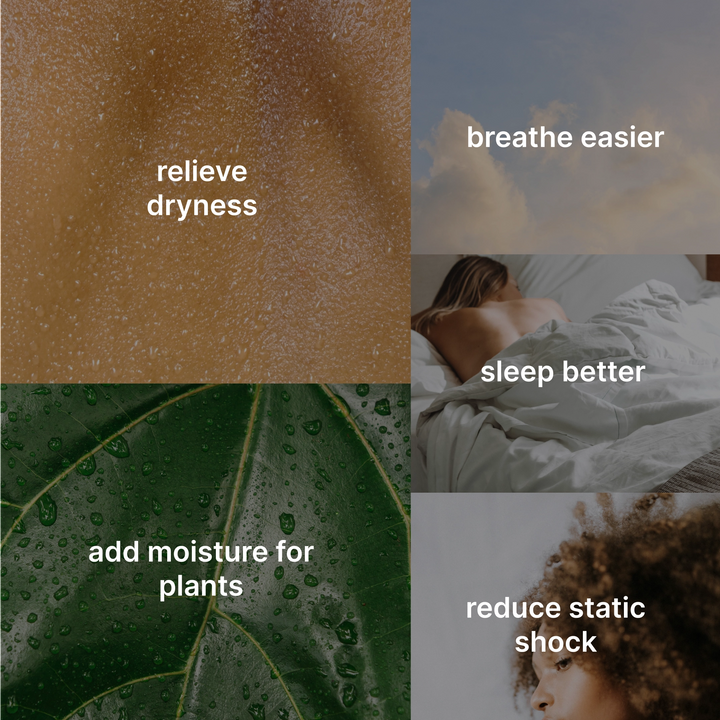 Small Plant Humidifier